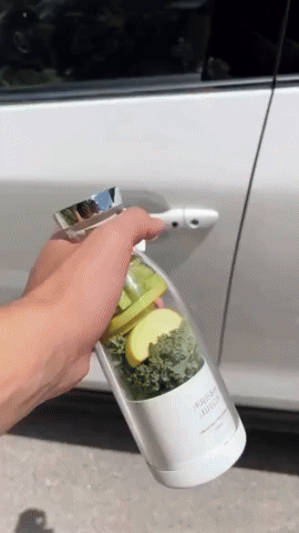 Blendit Portable Blender - Purple Wave